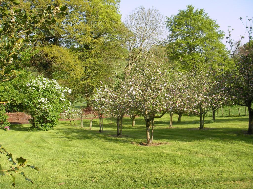 Grange Lodge Country House Dungannon Ngoại thất bức ảnh